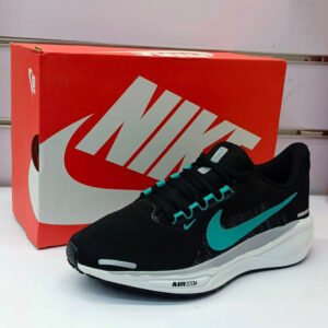 Pegasus 41 Black with Teal Blue Accents